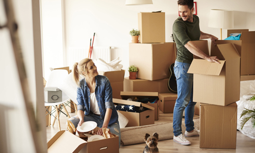 Domestic Relocations